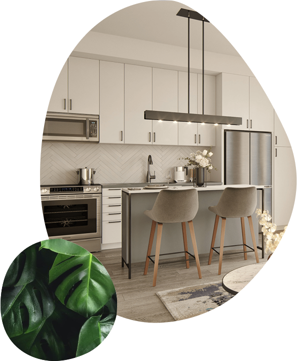 A kitchen & dining area showcasing Elle's apartment's sleek design. With an inset of a green plant.